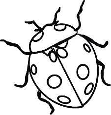 Delicate single-line drawing of a small ladybird