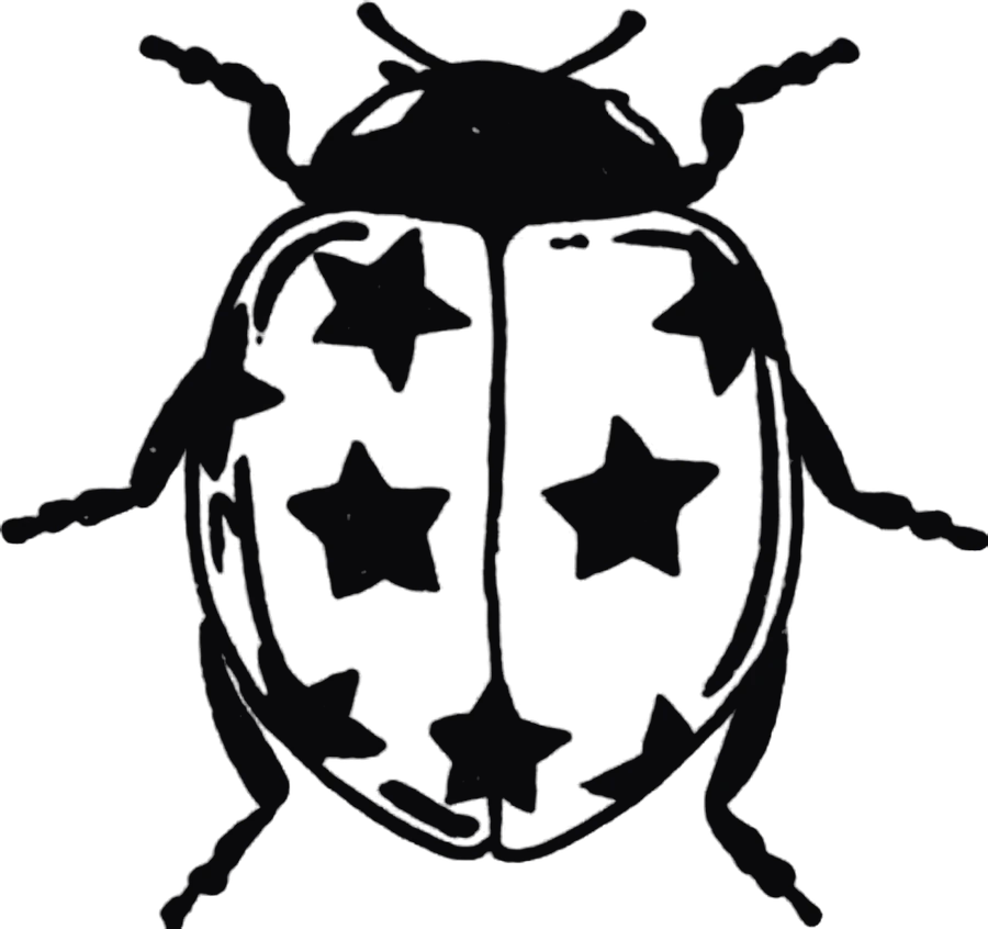 Bold blackwork ladybird with stars instead of spots